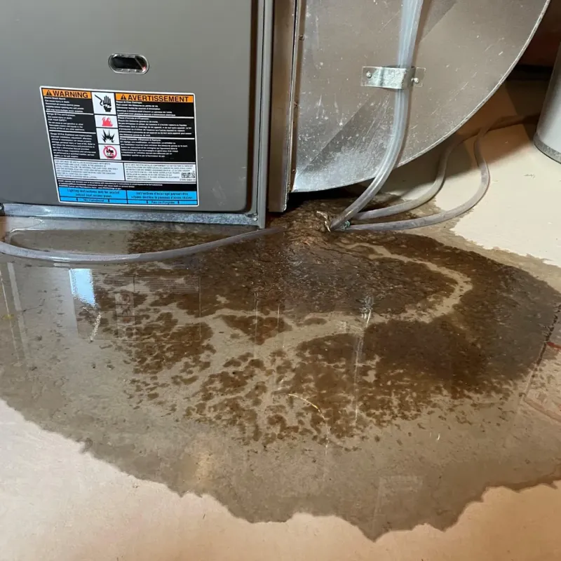 Appliance Leak Cleanup in Burns Flat, OK